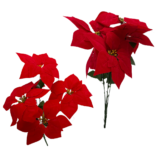 M J3174 NOCHEBUENA RAMO 5 Flores 50x22cm